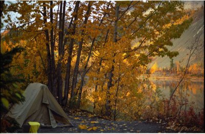Campsite at Squirrel Creek, near Tonsina
