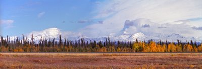 Wrangells across the grass, from a little further north
