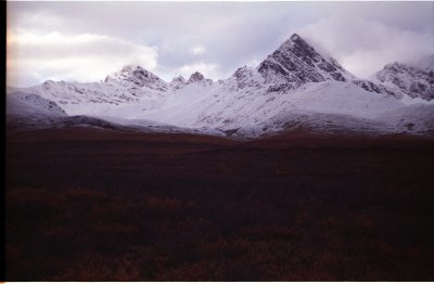 Clearwater Mountains from Denali Highway