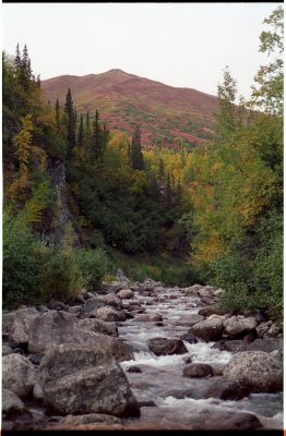 Fishhook Creek