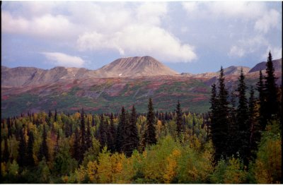 view from George Parks Highway south of Denali