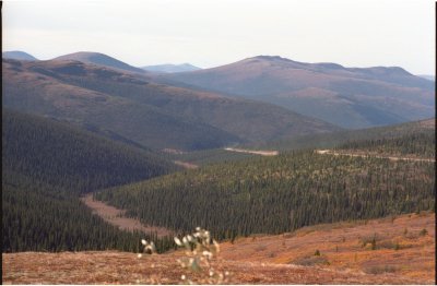 Looking back west from Twelvemile Summit on the Steese Highway, northeast of Chatanika