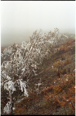 Rime