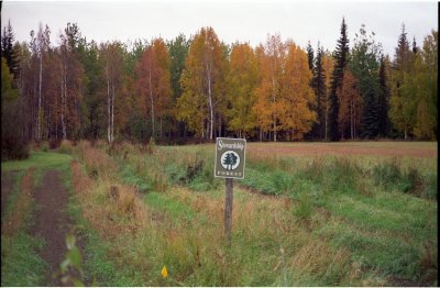 Stewardship forest