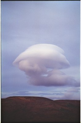 This one looks like a jellyfish