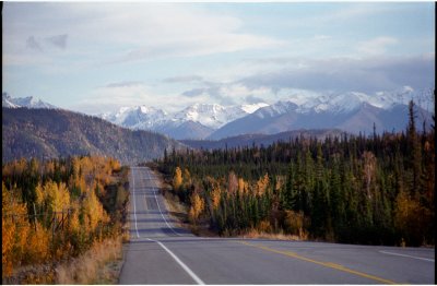 Alaska Highway view