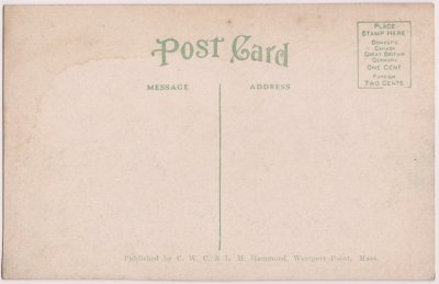 Oxen at Westport Point, Mass. reverse