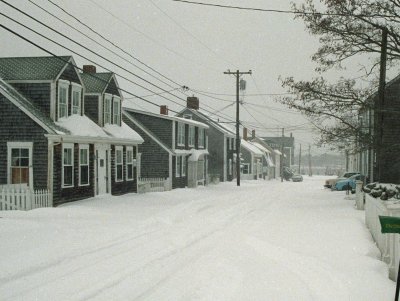 Point in Thanksgiving morning snow 1989