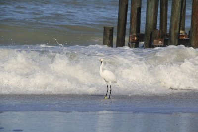 Naples, Florida