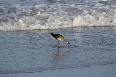 Naples, Florida