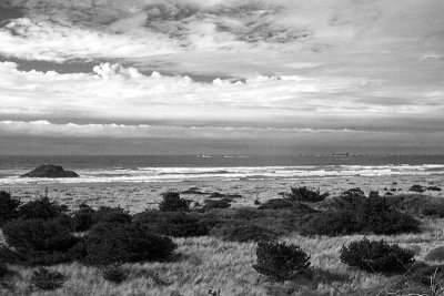 Doyle Point, Gold Beach, OR