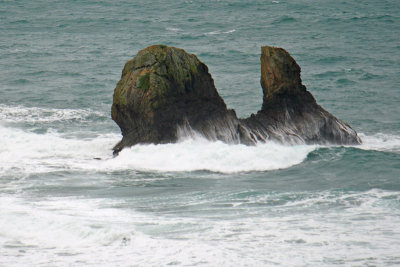 March 1 Old Sharktooth