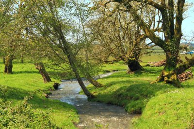 Creek, Smith River, CA