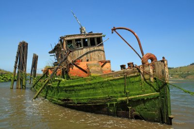 The wreak of the Mary D. Hume