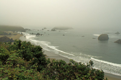 Harris Beach State Park