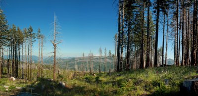 Kalmiopsis Wilderness Area Panorama