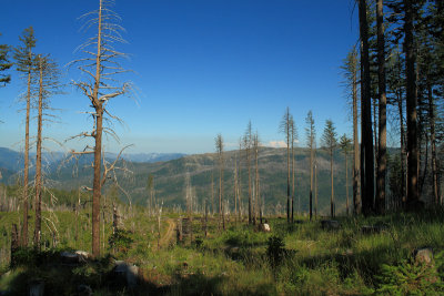 Kalmiopsis Wilderness and Biscuit Fire burn area