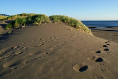 Footprints and Dune