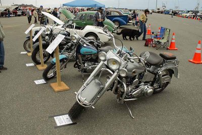 Harley Davidsons