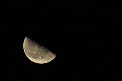A ruddy Third Quarter  Moon on the horizon
