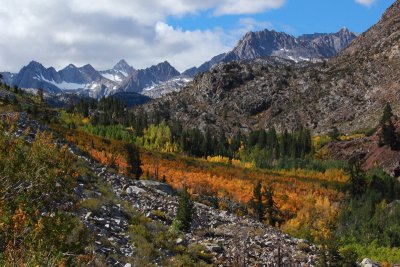 Fall Colors in the Sierras