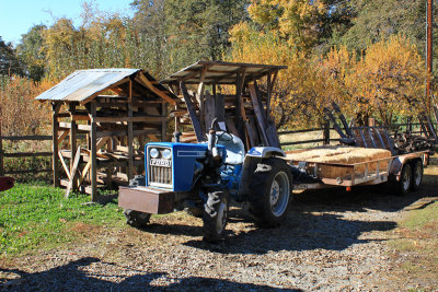 Riley's Farm Apple Orchard