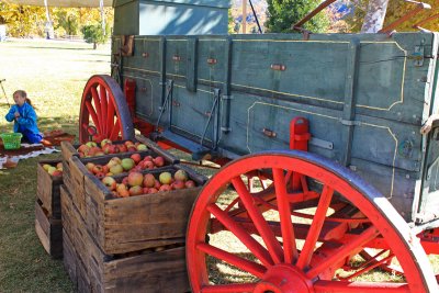 Apples and Wagon