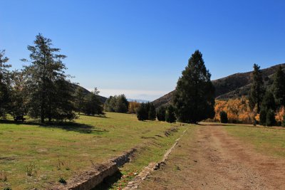 Looking south at smog and fog in the valley