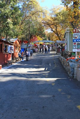 Oak Tree Village