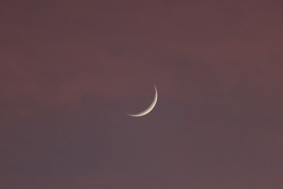 2 Day Old Moon, cirrus clouds in twilight