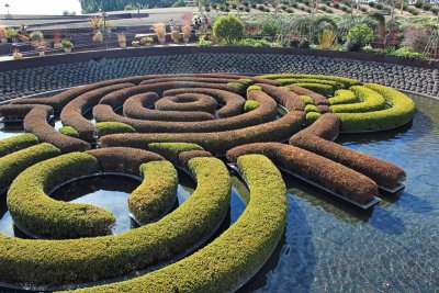 Topiary and Water Feature