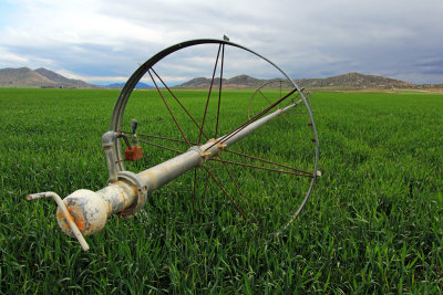 Irrigation, Winchester, CA