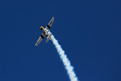 IMG_1569.jpg