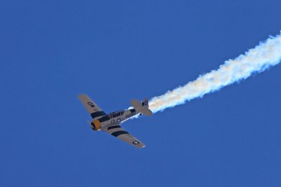 IMG_1583.jpg