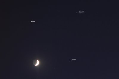 Plant and Moon Conjunction