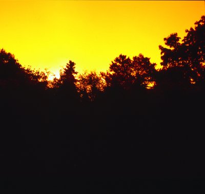 Weird-Sunset-1.jpg