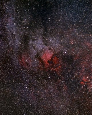 Cygnus Wide Field
