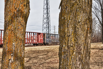 _MG_8165_HV8.jpg
