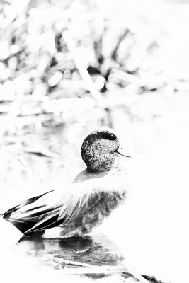 _MG_9357_ART9.jpg