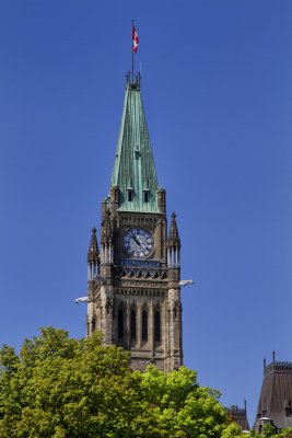 IMG_9903_V8.jpg