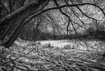 _MG_6111-3586_H.JPG