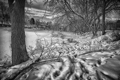 _MG_6099-3913_HDR.JPG