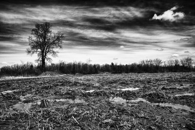 HDR  la ferme