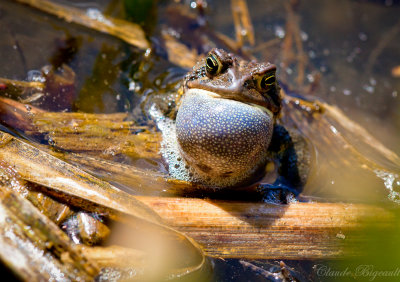 13052012-IMG_9651-68-M.jpg