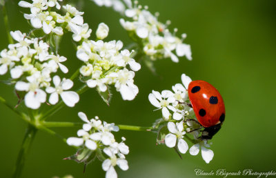 26052012-IMG_1829-17-M.jpg