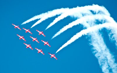 Snowbirds Postcard