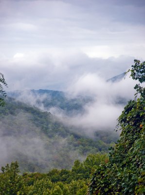 Is Thaaat Why They Call Em the Smoky Mountains?