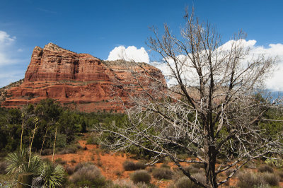 Postcards From Sedona
