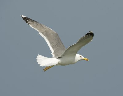 g4/98/981498/3/141347591.xc5r4Yl4.jpg