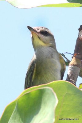 g4/98/983098/3/134869859.nx1K08V6.jpg